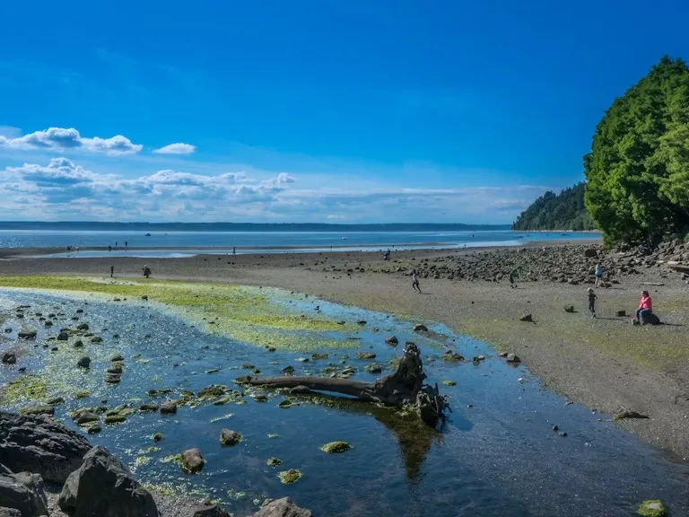 Low tide at Des Moines Beach Park