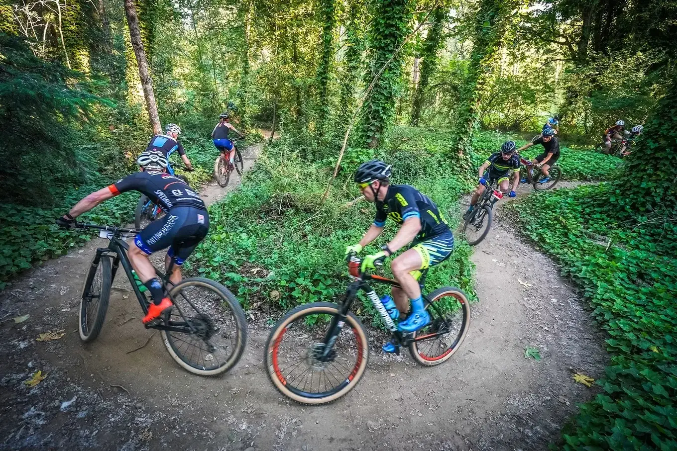 Mountain bikers riding a trail at North SeaTac Park